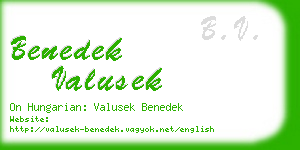 benedek valusek business card